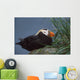 Tufted Puffin Perched On Rock Ledge Wall Mural