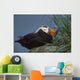 Tufted Puffin Perched On Rock Ledge Wall Mural