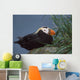 Tufted Puffin Perched On Rock Ledge Wall Mural
