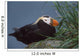 Tufted Puffin Perched On Rock Ledge Wall Mural