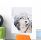 Two Sled Dog Huskys in Harness Wall Mural