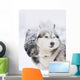 Two Sled Dog Huskys in Harness Wall Mural