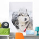 Two Sled Dog Huskys in Harness Wall Mural