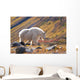 Mountain Goat Near Raven Glacier Wall Mural