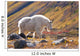 Mountain Goat Near Raven Glacier Wall Mural