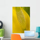 Close Up Of An American Skunk Cabbage Bloom Chugach National Forest Wall Mural