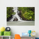 A Cascading Waterfall Flows Into Granite Creek Wall Mural