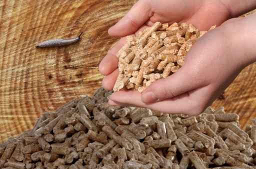 Hand Mit Holzpellets Wall Decal