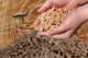 Hand Mit Holzpellets Wall Decal