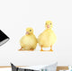Little Yellow Ducklings Wall Decal