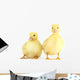 Little Yellow Ducklings Wall Decal