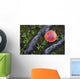 Fly Agaric Mushroom And Tree Roots Wall Mural