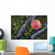 Fly Agaric Mushroom And Tree Roots Wall Mural