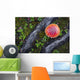 Fly Agaric Mushroom And Tree Roots Wall Mural