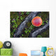 Fly Agaric Mushroom And Tree Roots Wall Mural
