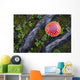 Fly Agaric Mushroom And Tree Roots Wall Mural