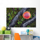 Fly Agaric Mushroom And Tree Roots Wall Mural