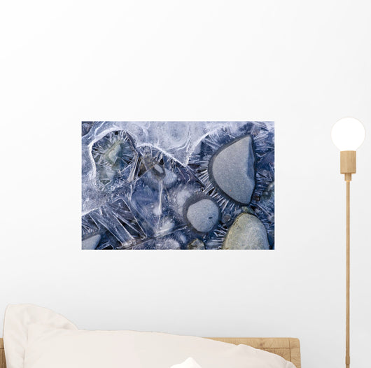 Close Up Of Small Rocks Frozen In Ice Wall Mural