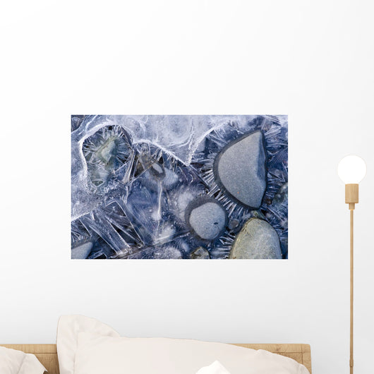 Close Up Of Small Rocks Frozen In Ice Wall Mural