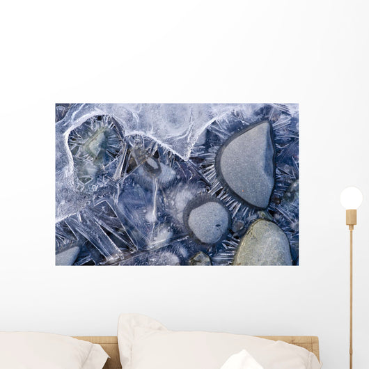 Close Up Of Small Rocks Frozen In Ice Wall Mural