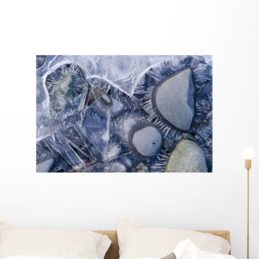 Close Up Of Small Rocks Frozen In Ice Wall Mural