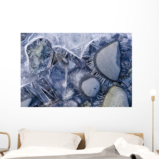 Close Up Of Small Rocks Frozen In Ice Wall Mural