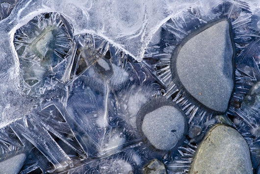 Close Up Of Small Rocks Frozen In Ice Wall Mural