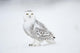 Snowy Owl On Snow, Saint-Barthelemy, Quebec, Canada, Winter Wall Mural