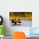 A Large Bull Moose Wades Through A Permafrost Pond Wall Mural