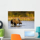 A Large Bull Moose Wades Through A Permafrost Pond Wall Mural