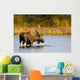 A Large Bull Moose Wades Through A Permafrost Pond Wall Mural