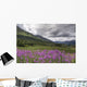 View Of Fireweed Blooms In Turnagain Pass Wall Mural