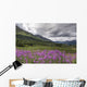 View Of Fireweed Blooms In Turnagain Pass Wall Mural