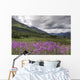 View Of Fireweed Blooms In Turnagain Pass Wall Mural