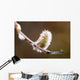 Macro View Of Willow Bud Bloomimg During Snow Melt Wall Mural
