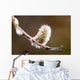 Macro View Of Willow Bud Bloomimg During Snow Melt Wall Mural