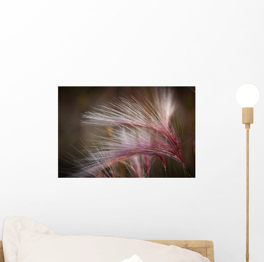 Macro Of Pink Grass In The Maclaren River Valley Wall Mural