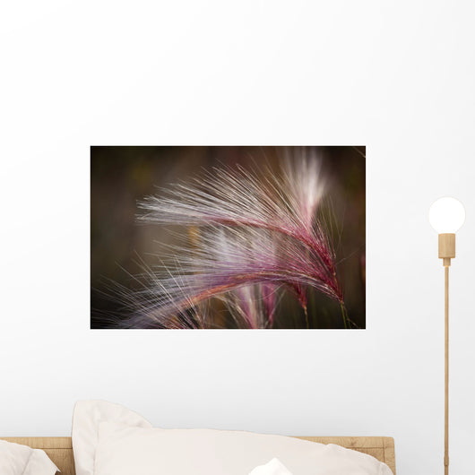 Macro Of Pink Grass In The Maclaren River Valley Wall Mural