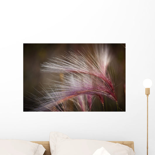 Macro Of Pink Grass In The Maclaren River Valley Wall Mural