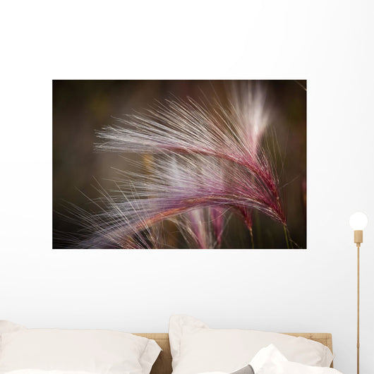 Macro Of Pink Grass In The Maclaren River Valley Wall Mural