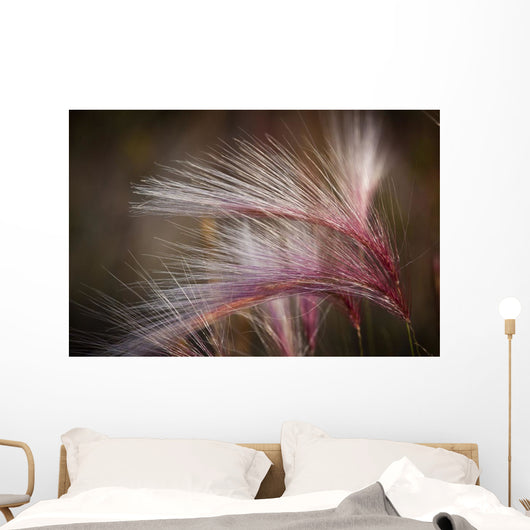 Macro Of Pink Grass In The Maclaren River Valley Wall Mural