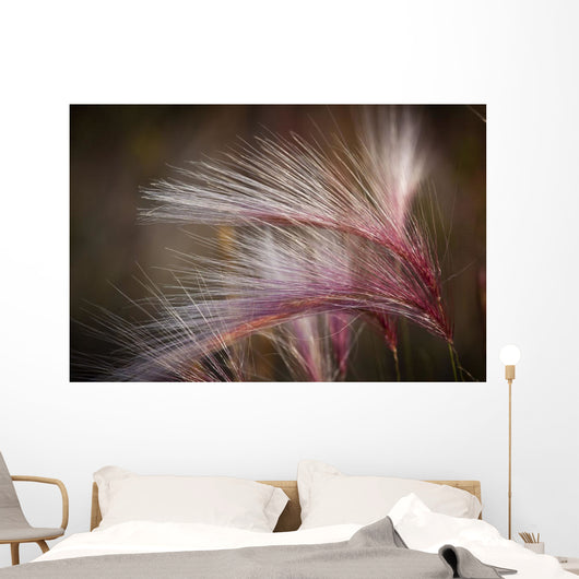 Macro Of Pink Grass In The Maclaren River Valley Wall Mural
