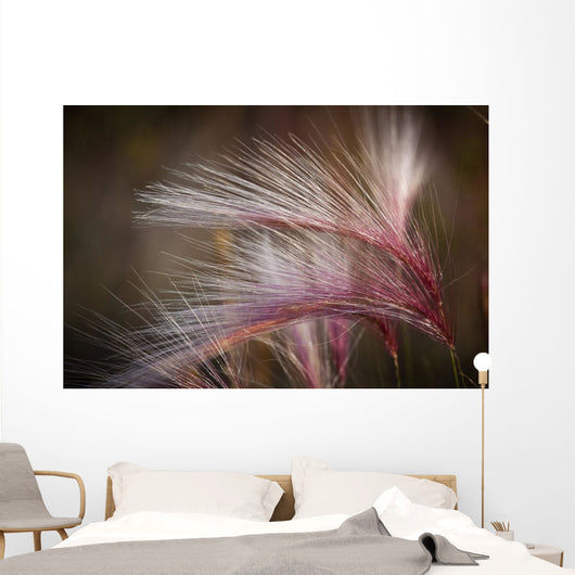 Macro Of Pink Grass In The Maclaren River Valley Wall Mural