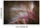 Macro Of Pink Grass In The Maclaren River Valley Wall Mural