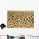 Shorebird Flock At Sunset During Homer Shorebird Festival Wall Mural