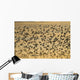 Shorebird Flock At Sunset During Homer Shorebird Festival Wall Mural