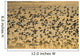 Shorebird Flock At Sunset During Homer Shorebird Festival Wall Mural