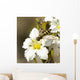 Close Up View Of A Yellow Jacket Sitting On A Deer Cabbage Flower Wall Mural