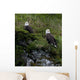 Portrait Of Two Bald Eagles Resting On A Cliff In Kukak Bay Wall Mural