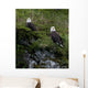 Portrait Of Two Bald Eagles Resting On A Cliff In Kukak Bay Wall Mural